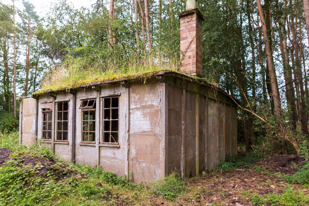 A former camp building with broken windows, a brick chimney and a grass-covered roof.
