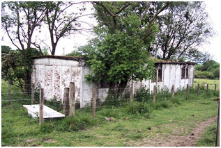 The surviving Castle Rankine hut in 2010.