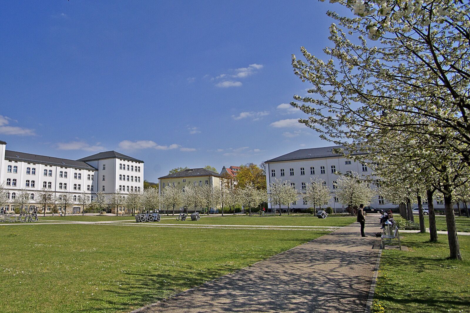 Three white nineteenth-century barrack blocks in spring sunshine around a lawn planted with flowering trees.