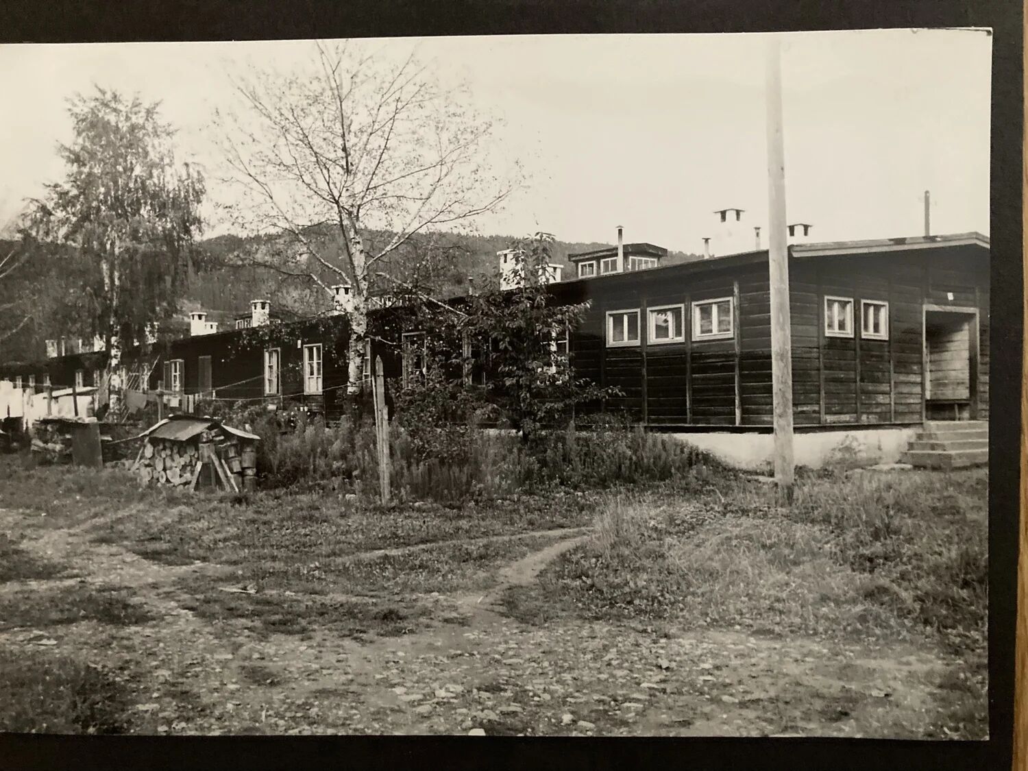 A barrack at Spittal with raised foundations, planted frontage and stored firewood.