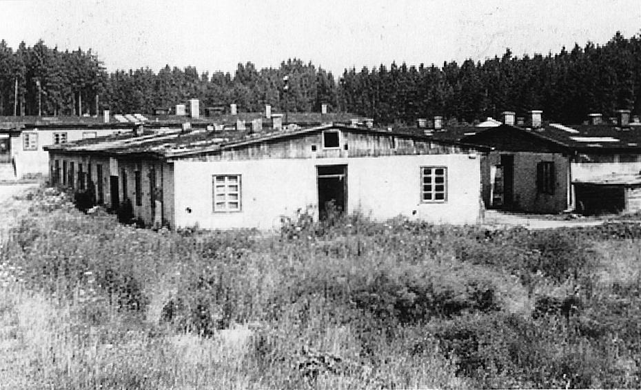Black-and-white photograph of low rendered huts with chimneys and rough grass in front, backed by a line of conifers.